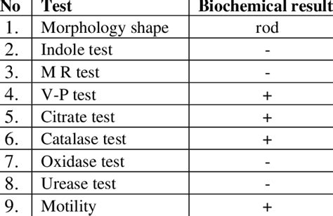 enterobacter aerogenes catalase test|IDENTIFICATION OF BACTERIA BELONGING TO THE .